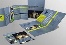 Flyers and Brochures